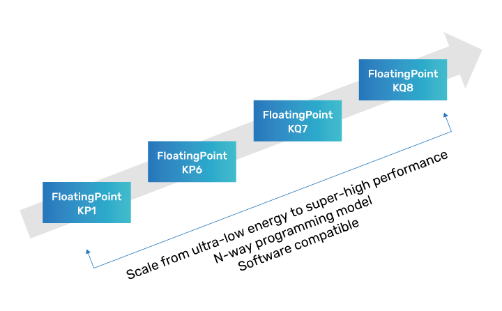 Figure 1: The Tensilica FloatingPoint DSP family