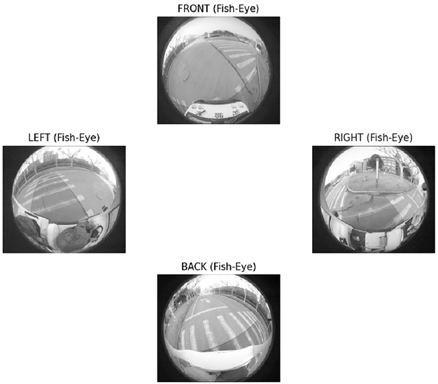 BEV Four Fish-eye input images