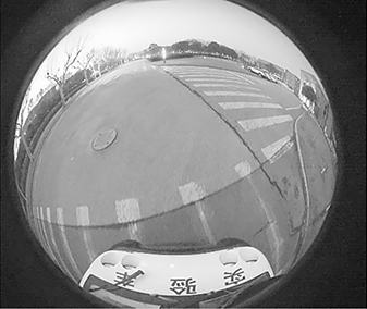 Fish-eye Distorted Image